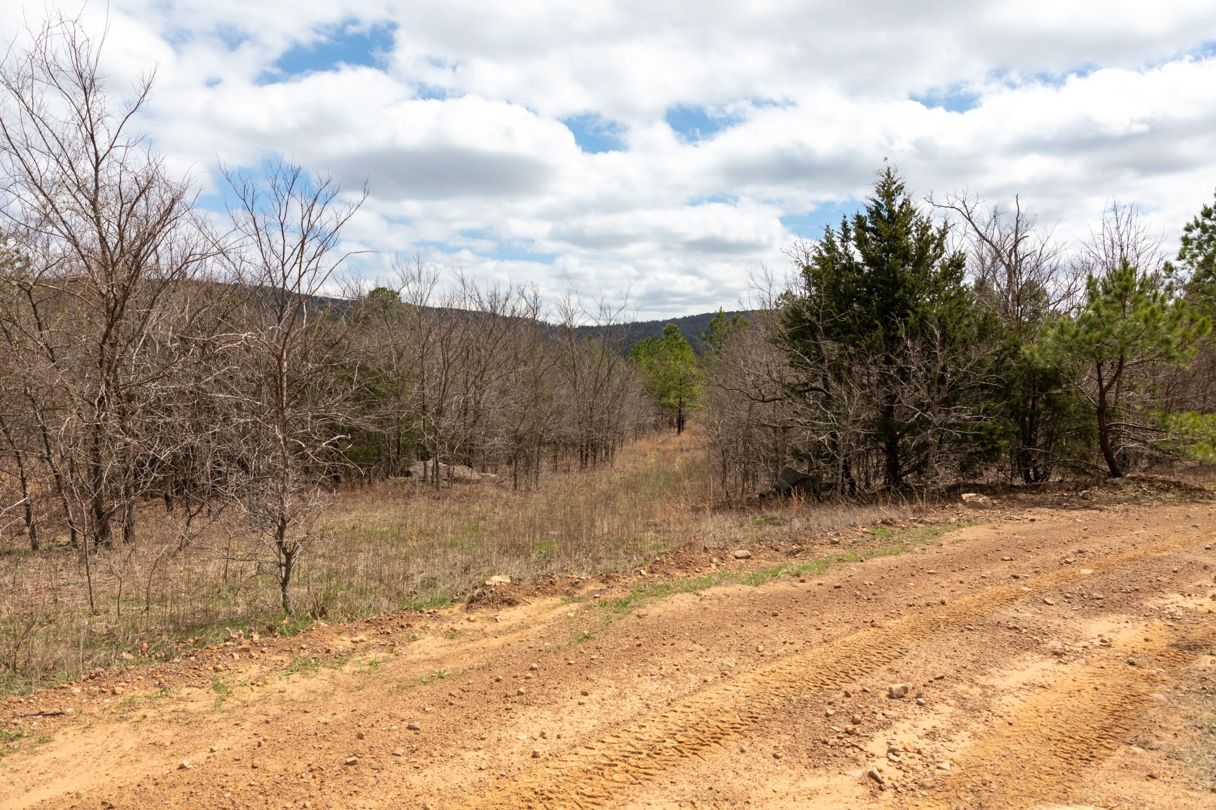 Stone Bridge Phase III Tract 212 photo 17