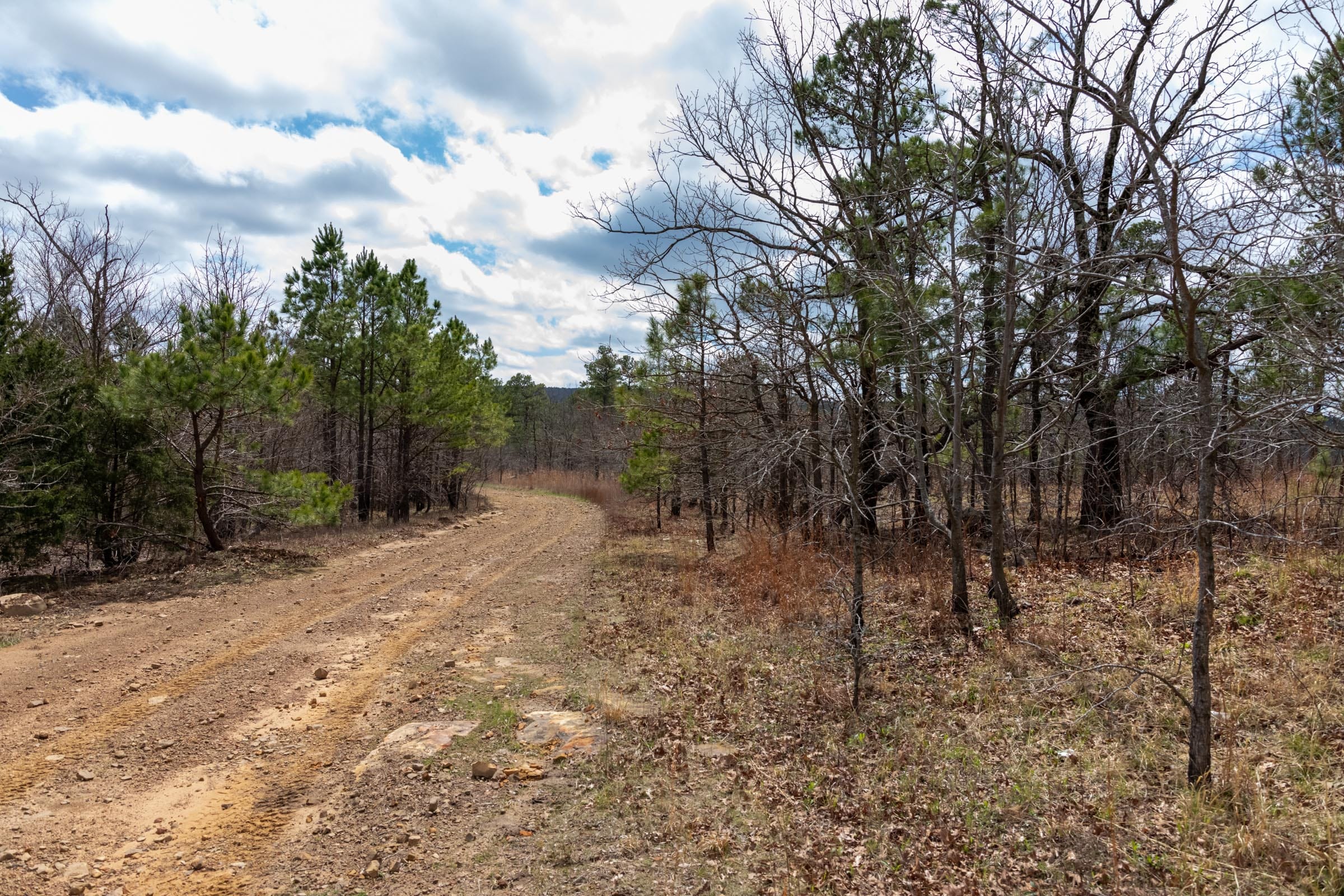 Stone Bridge Phase III Tract 212 photo 2