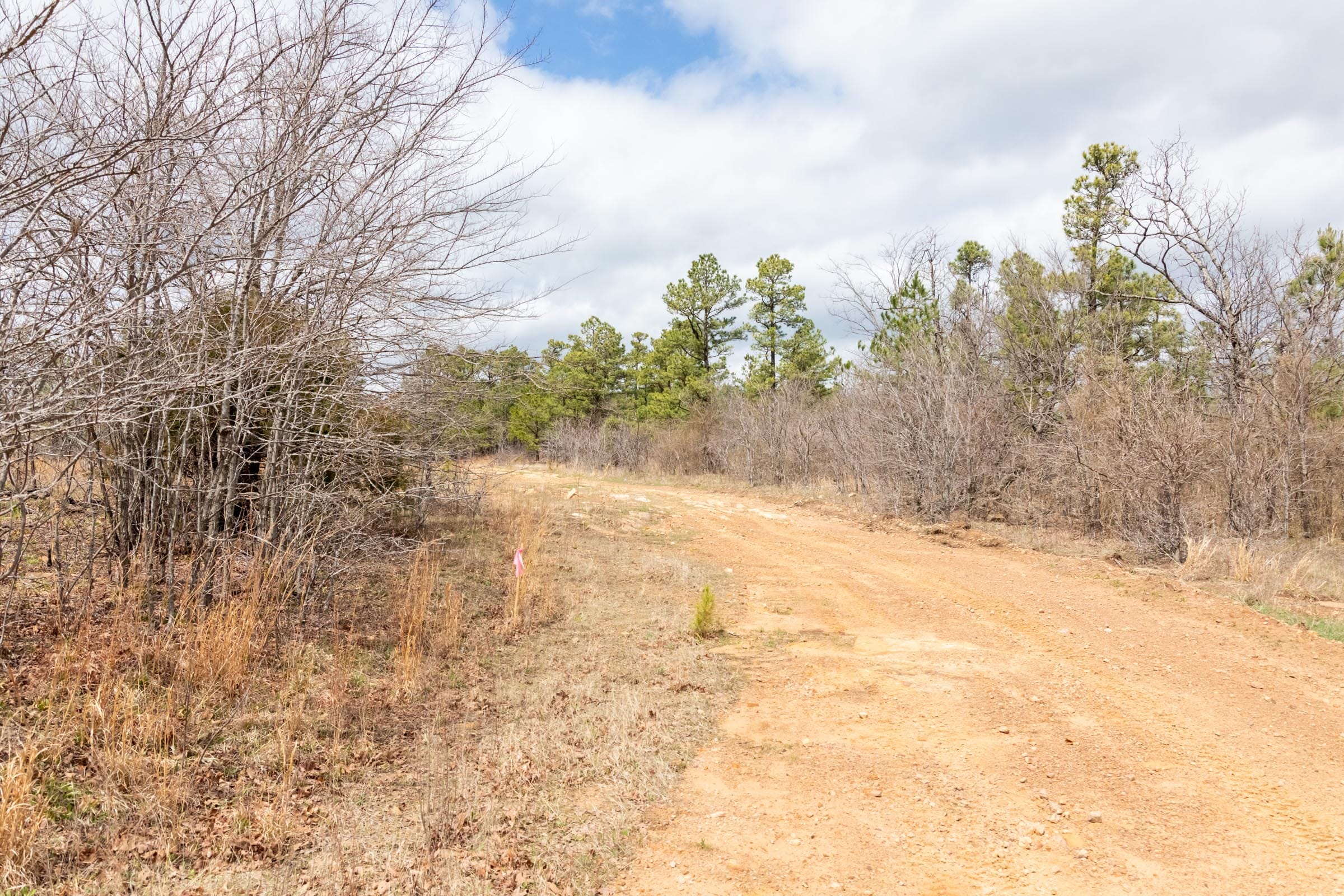 Stone Bridge Phase III Tract 212 photo 9
