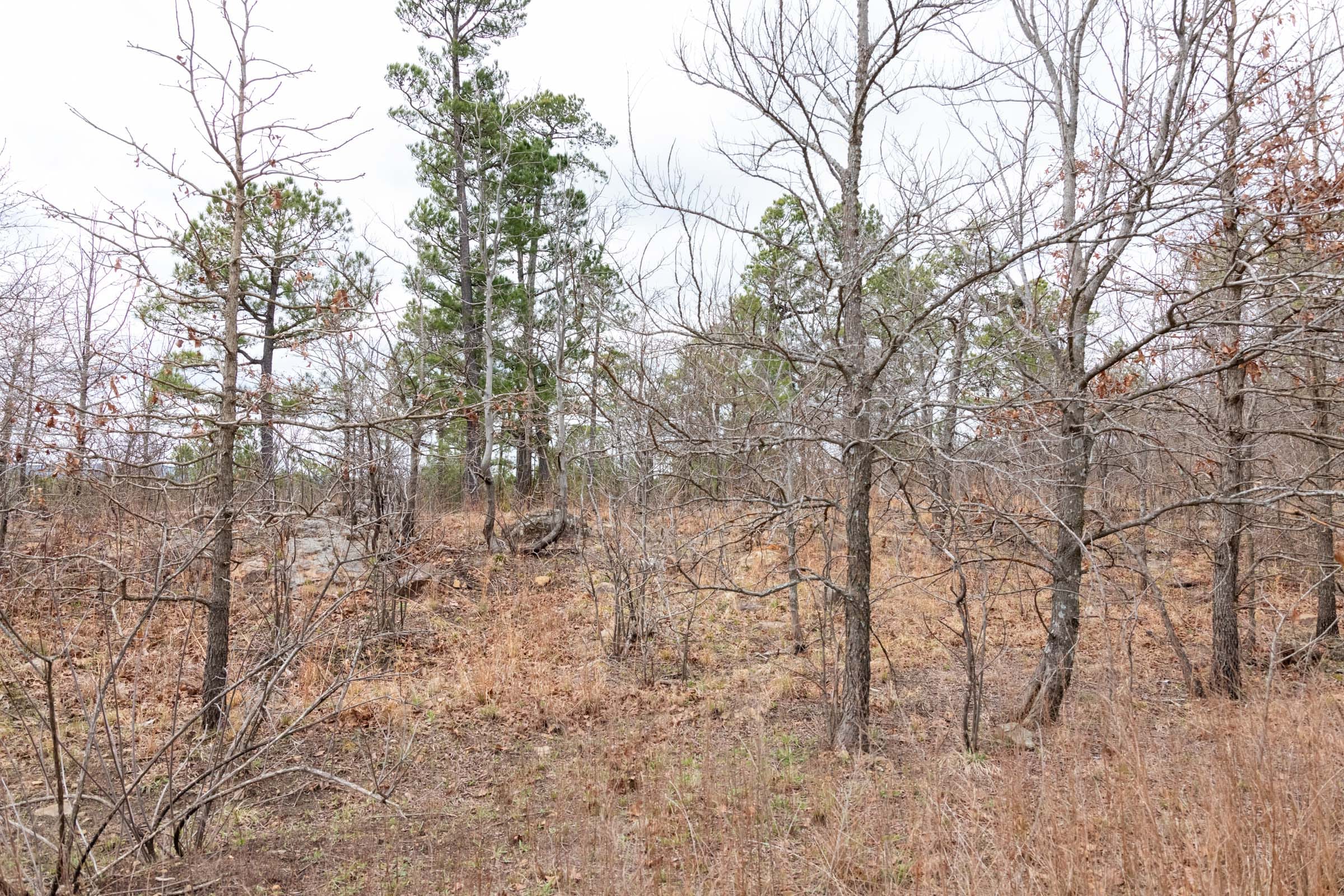 Stone Bridge Phase III Tract 212 photo 5