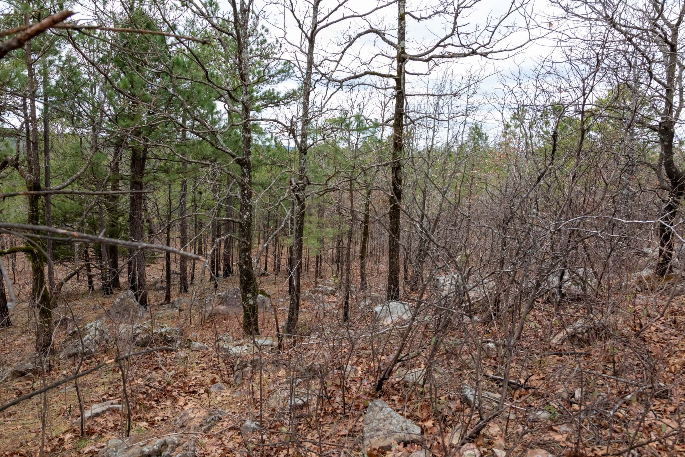 Stone Bridge Phase III Tract 212 photo 6