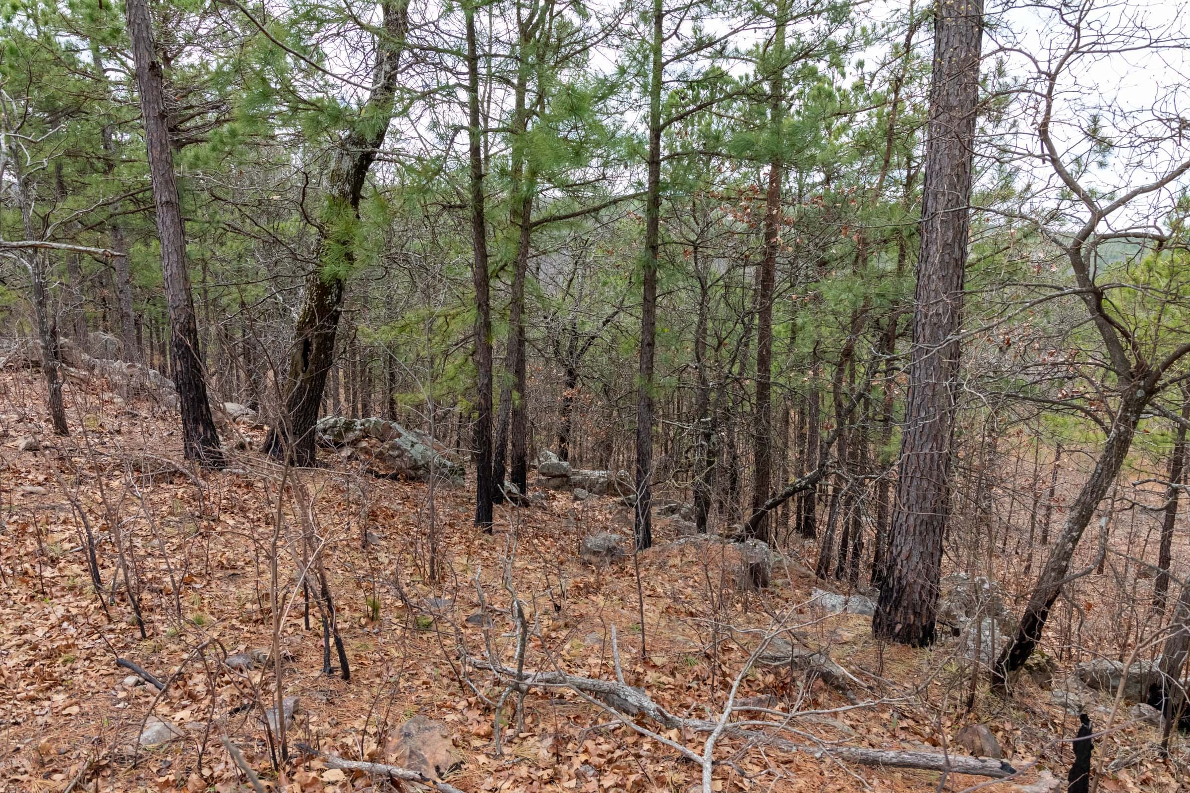 Stone Bridge Phase III Tract 212 photo 8