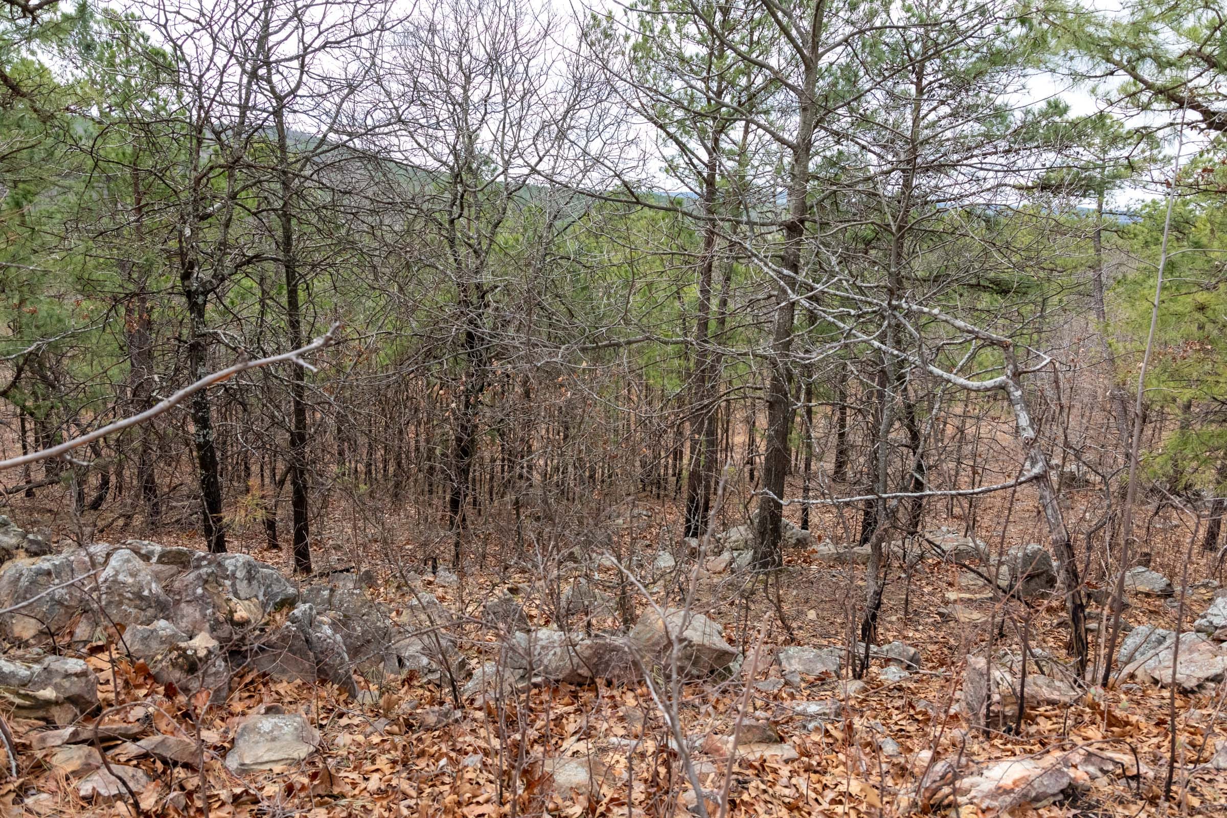 Stone Bridge Phase III Tract 212 photo 10