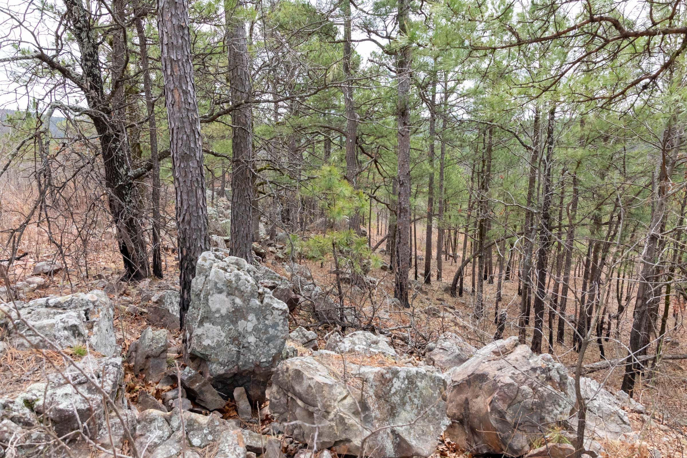 Stone Bridge Phase III Tract 212 photo 11