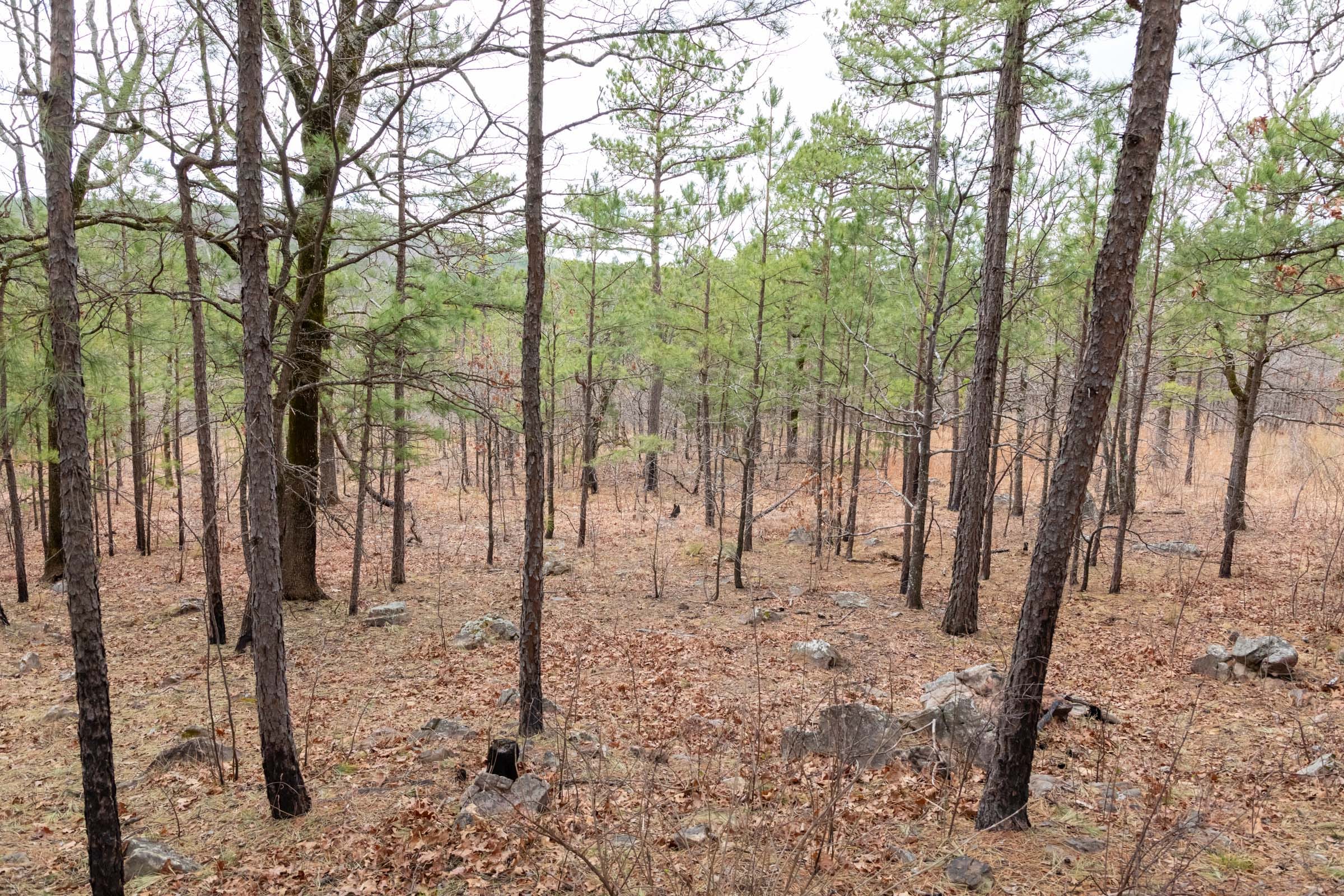 Stone Bridge Phase III Tract 212 photo 13
