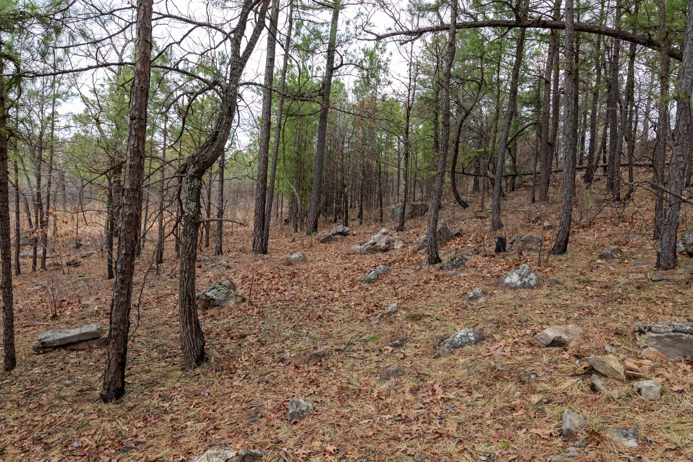 Stone Bridge Phase III Tract 212 photo 15