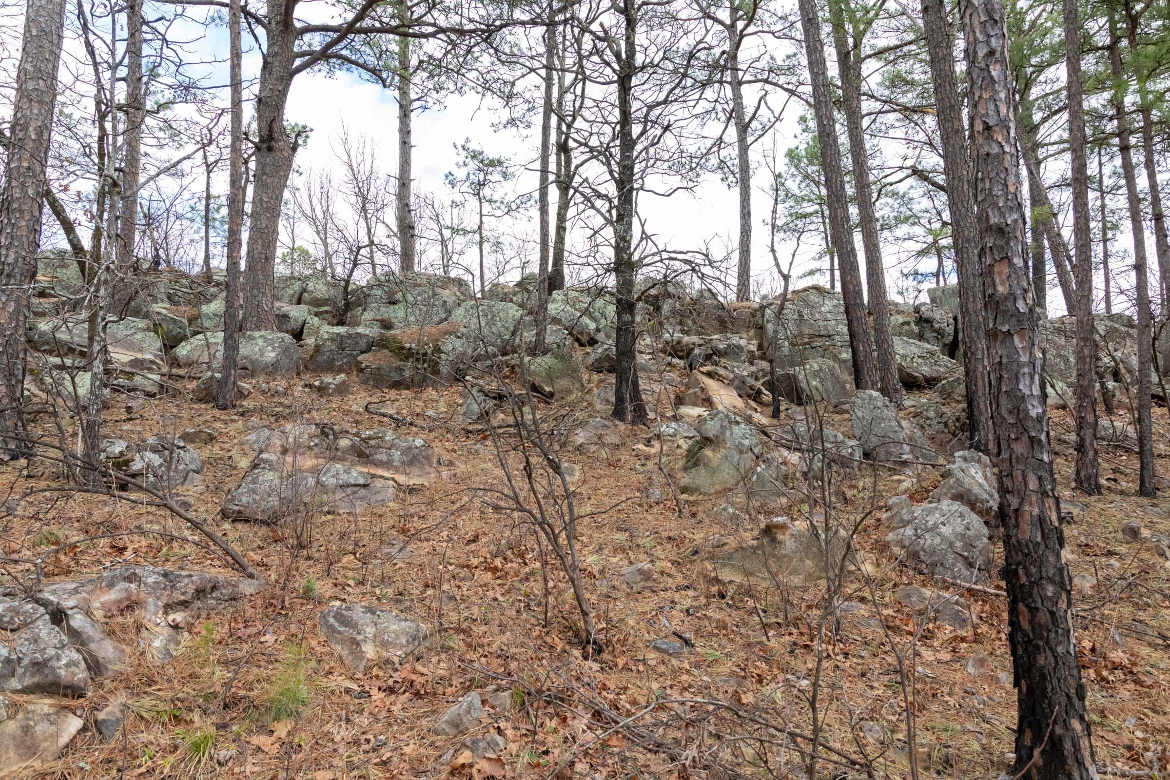 Stone Bridge Phase III Tract 212 photo 16