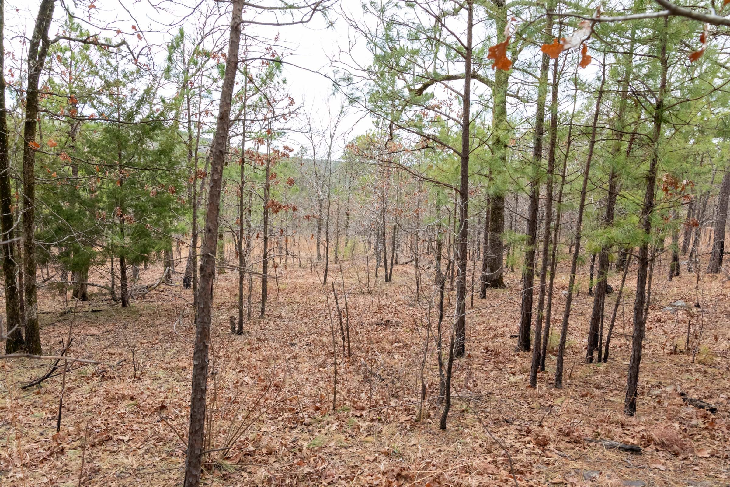 Stone Bridge Phase III Tract 212 photo 18