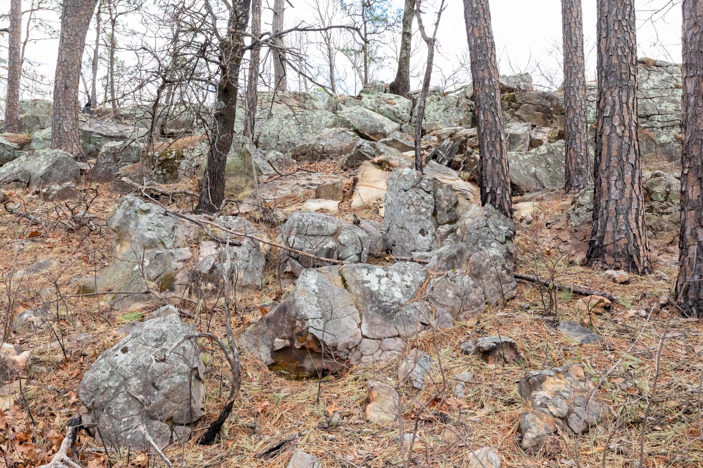 Stone Bridge Phase III Tract 212 photo 20