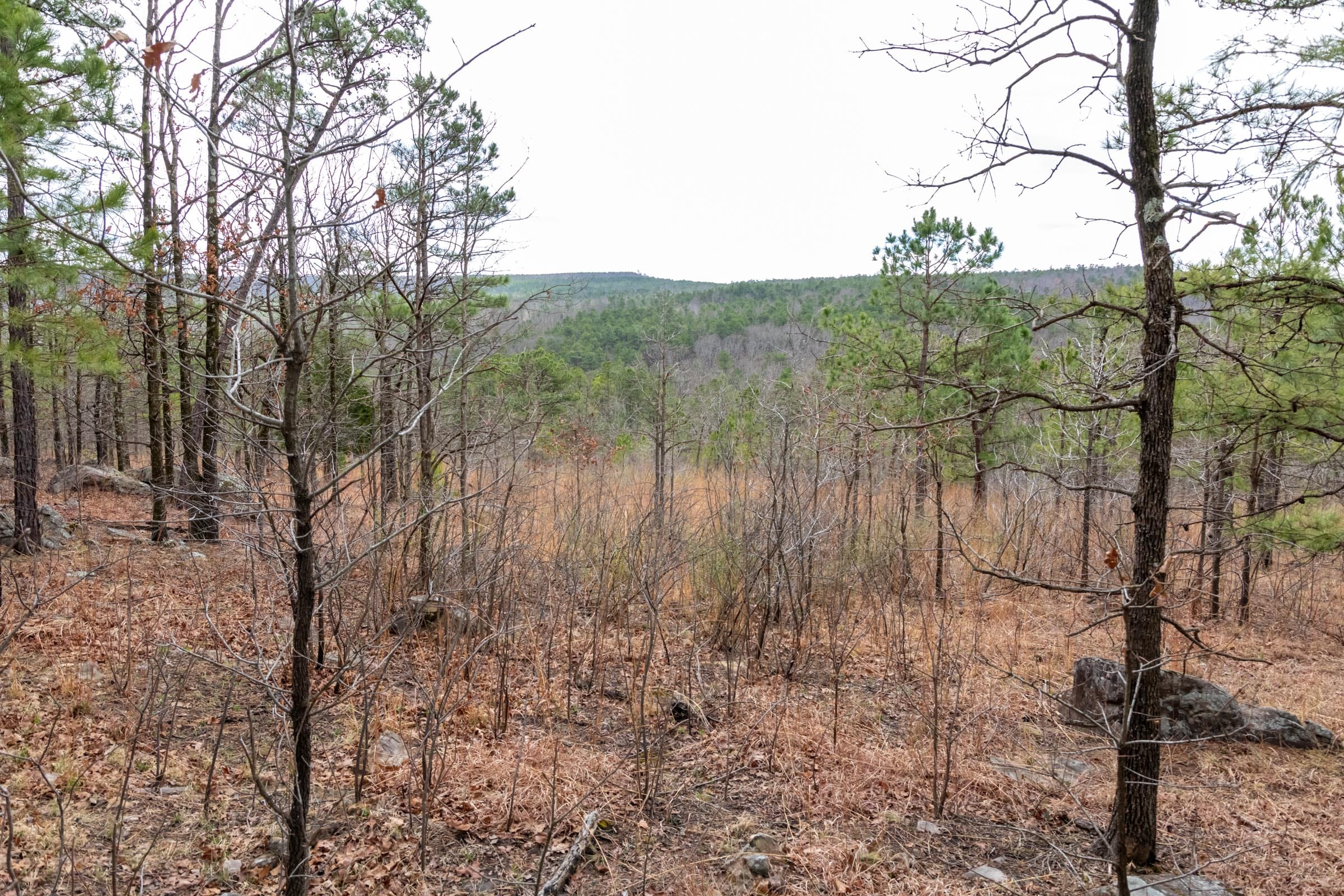 Stone Bridge Phase III Tract 212 photo 21