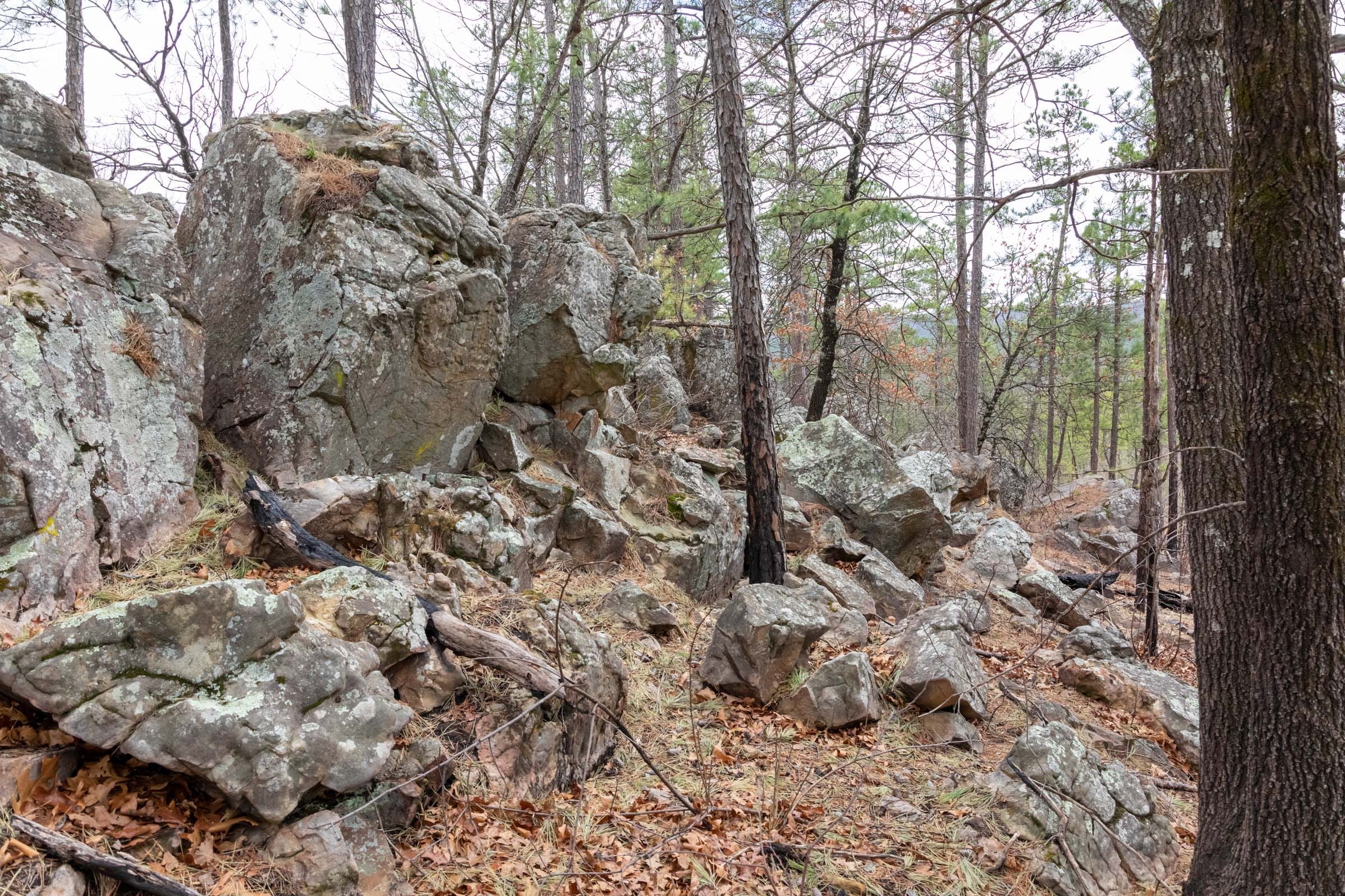 Stone Bridge Phase III Tract 212 photo 22