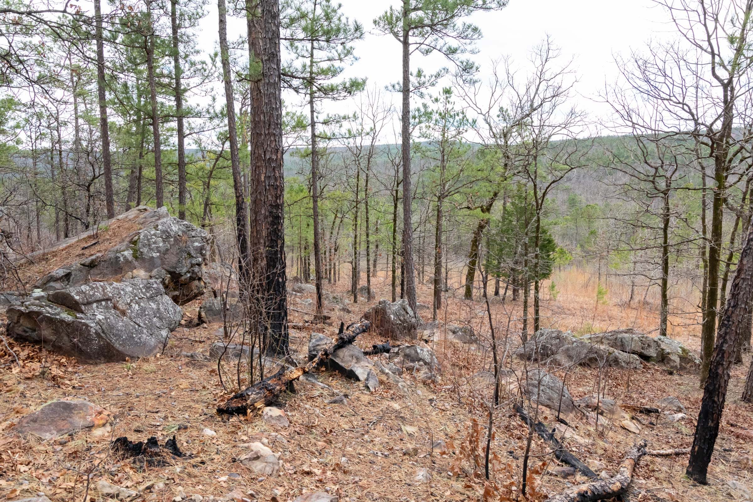 Stone Bridge Phase III Tract 212 photo 25