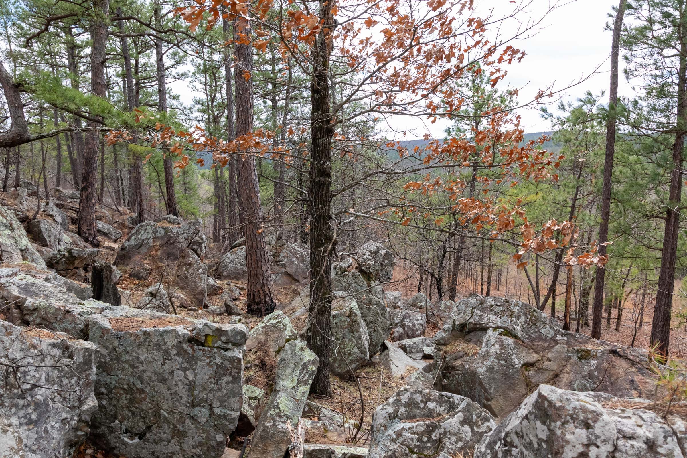 Stone Bridge Phase III Tract 212 photo 26
