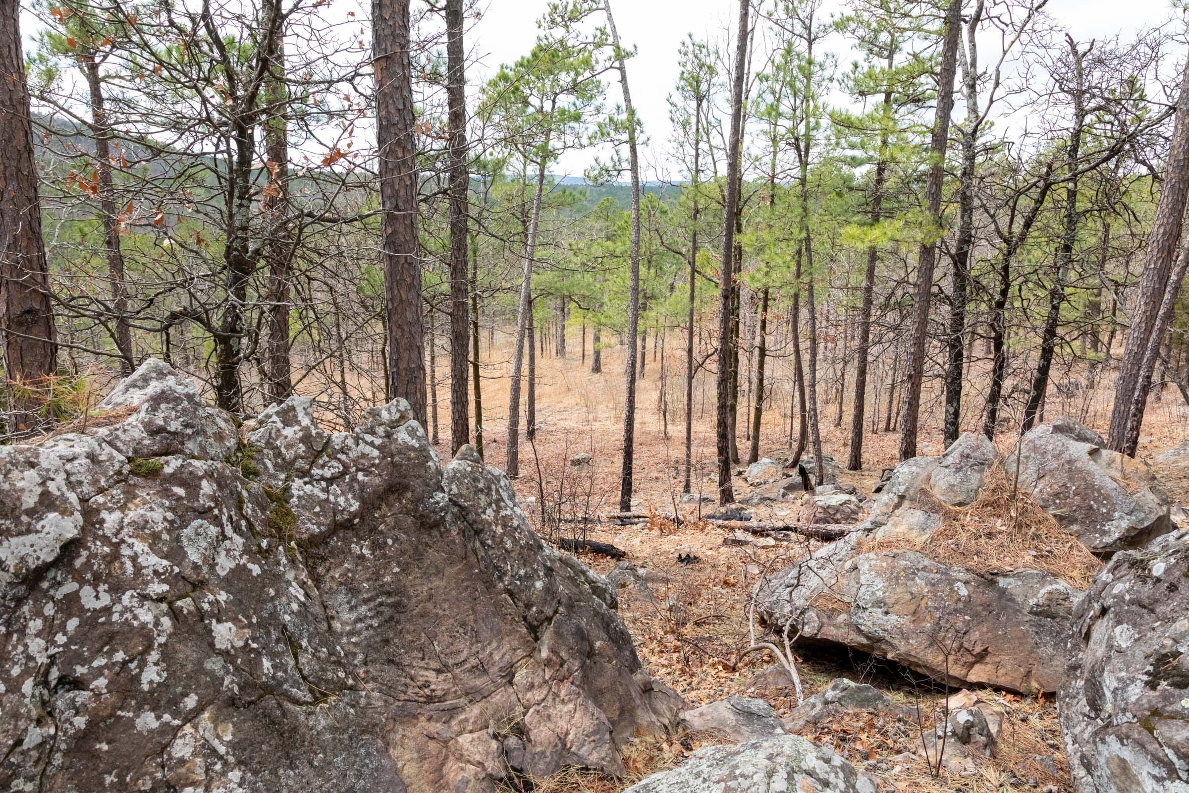 Stone Bridge Phase III Tract 212 photo 27