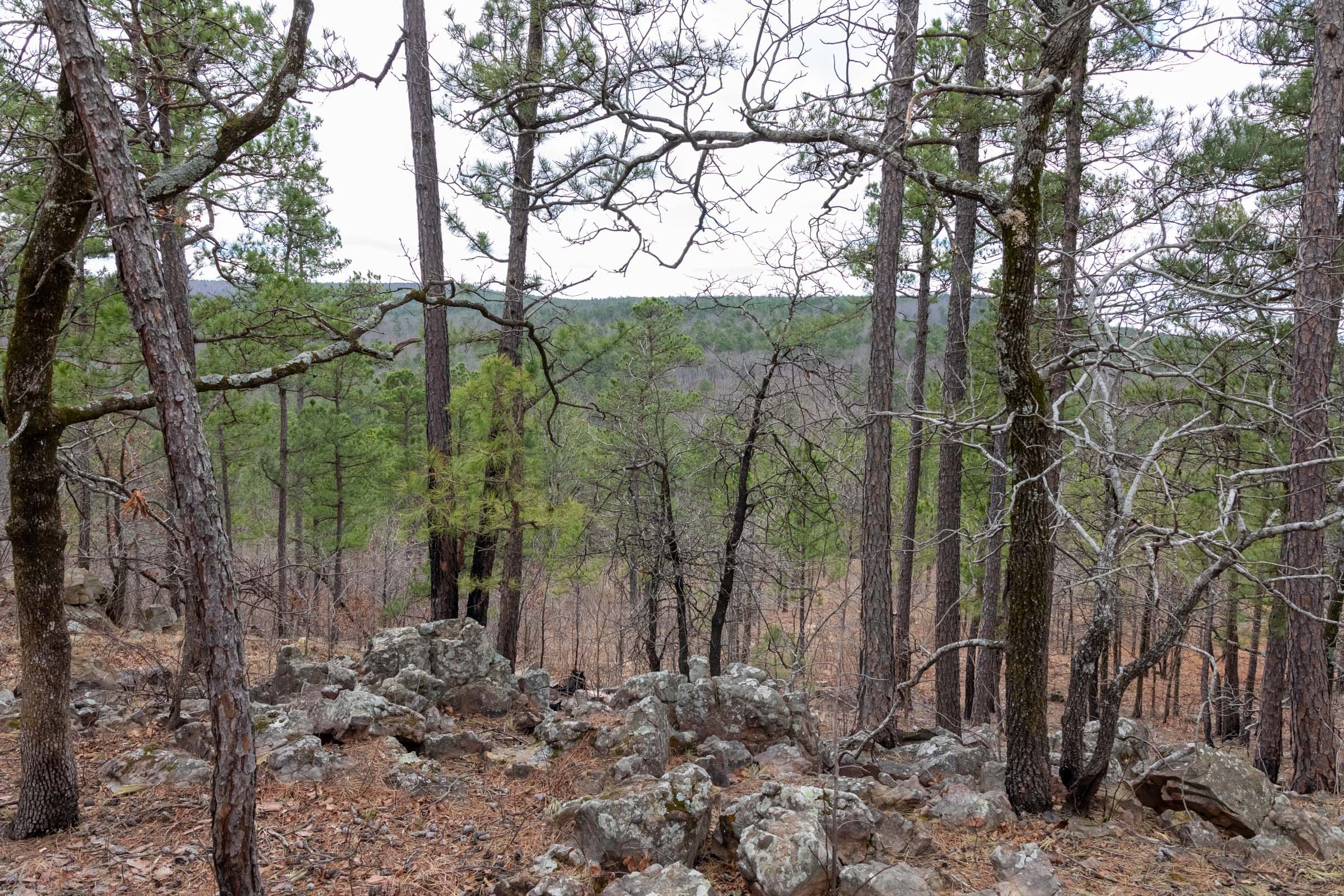 Stone Bridge Phase III Tract 212 photo 29