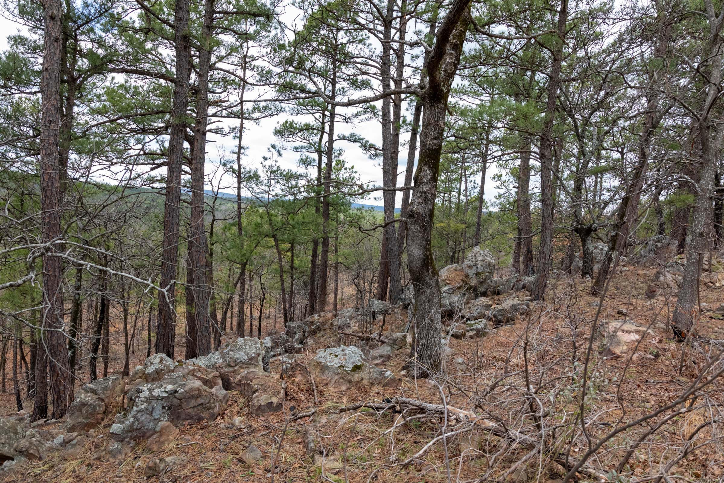 Stone Bridge Phase III Tract 212 photo 30