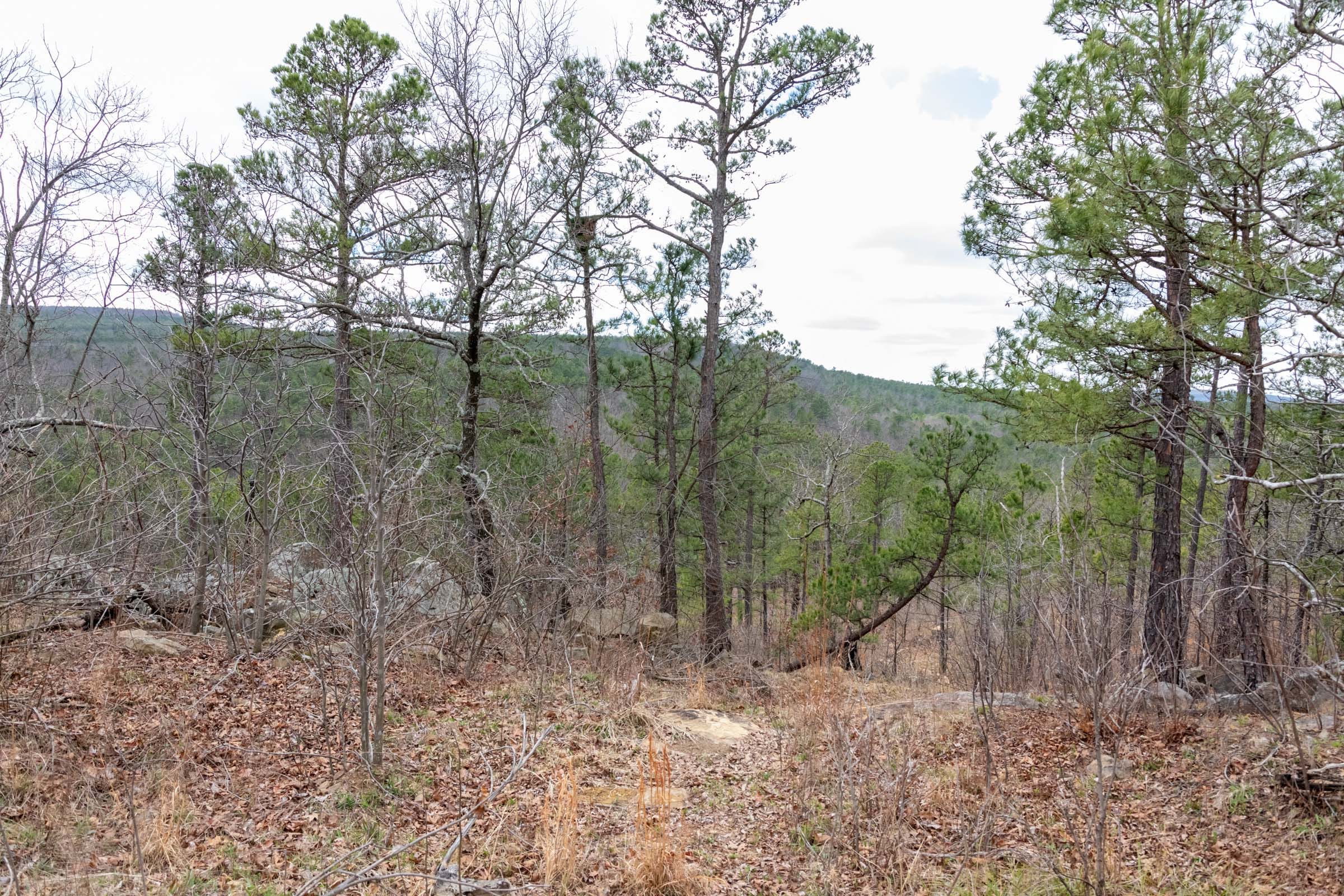 Stone Bridge Phase III Tract 212 photo 31