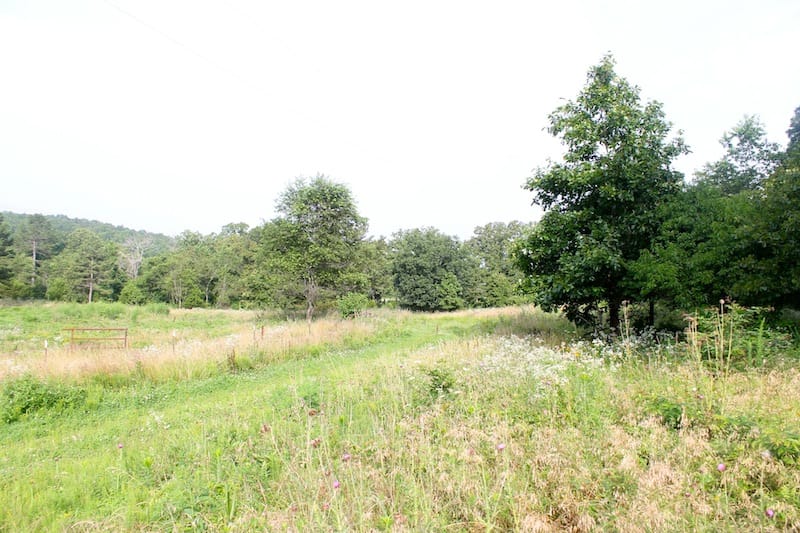 Green Mountain Ranch Tract 2 photo 1