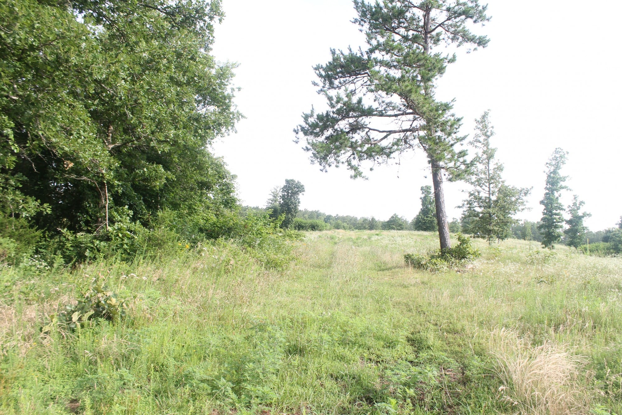 Green Mountain Ranch Tract 2 photo 2