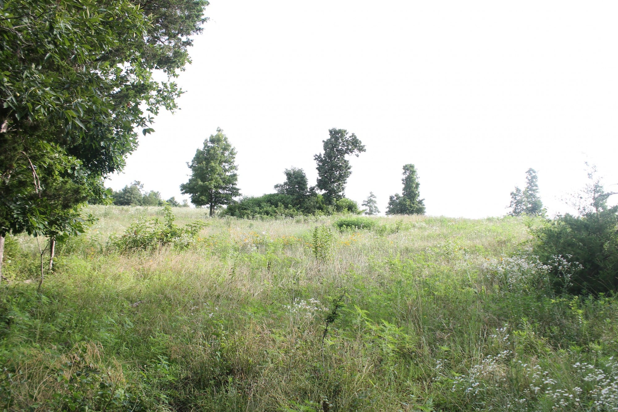 Green Mountain Ranch Tract 2 photo 5