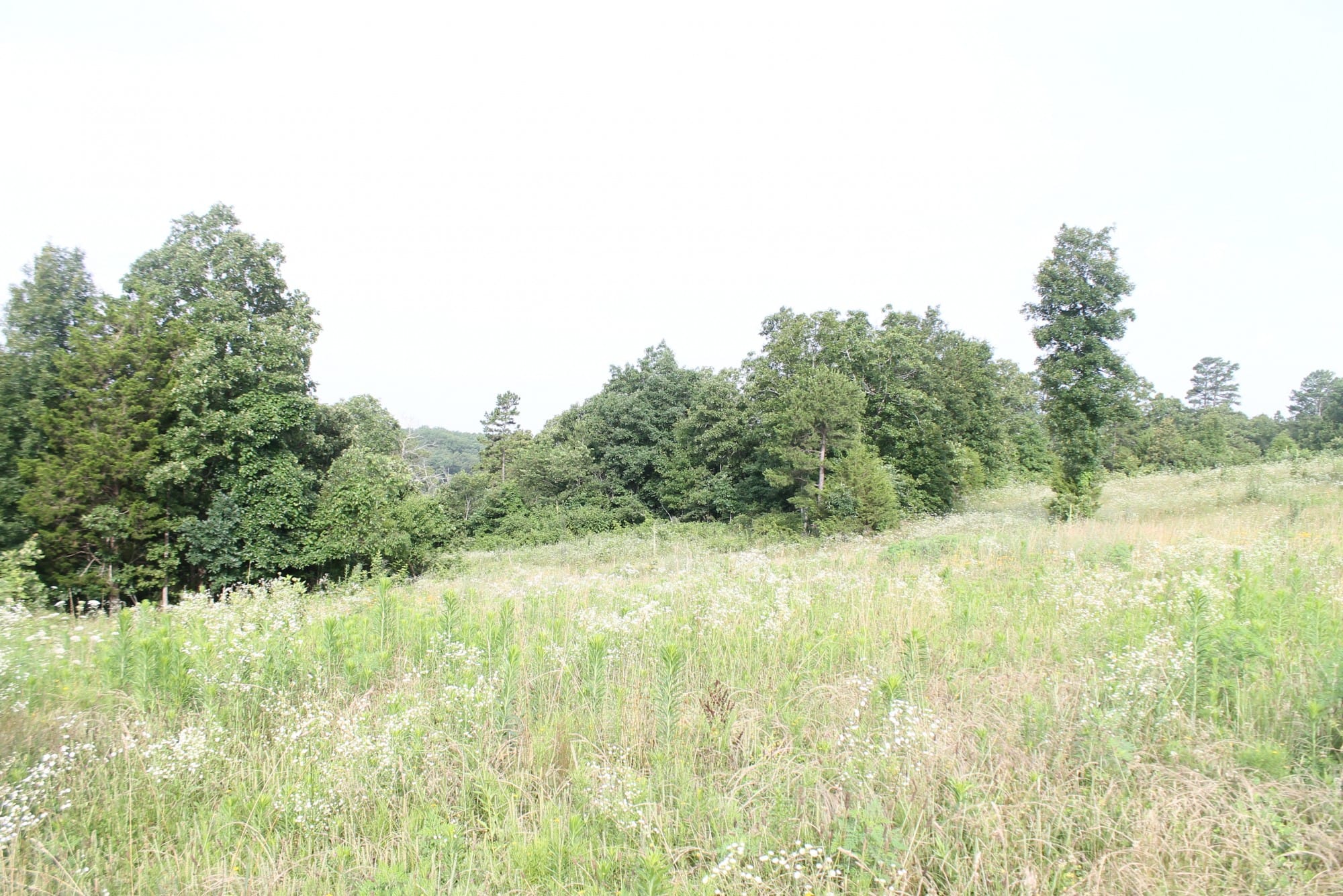 Green Mountain Ranch Tract 2 photo 6