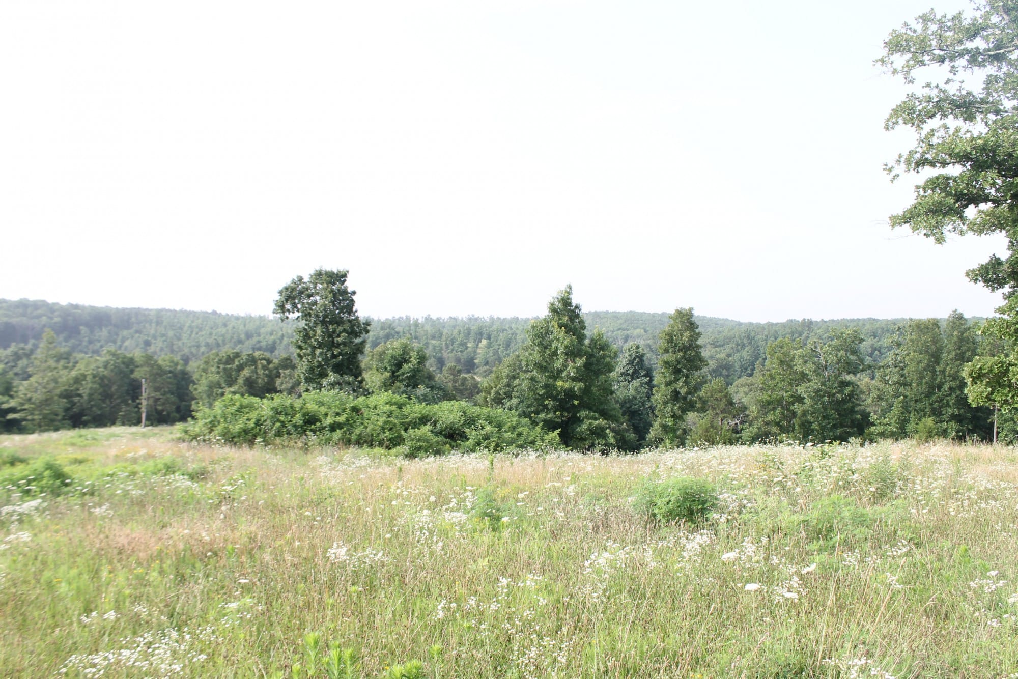 Green Mountain Ranch Tract 2 photo 7