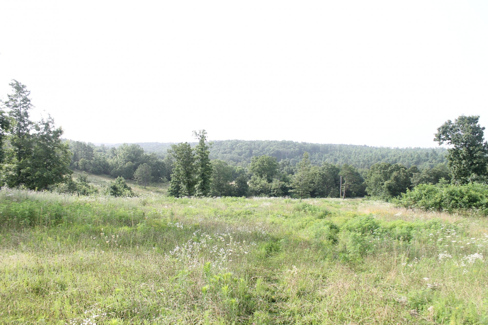 Green Mountain Ranch Tract 2 photo 8