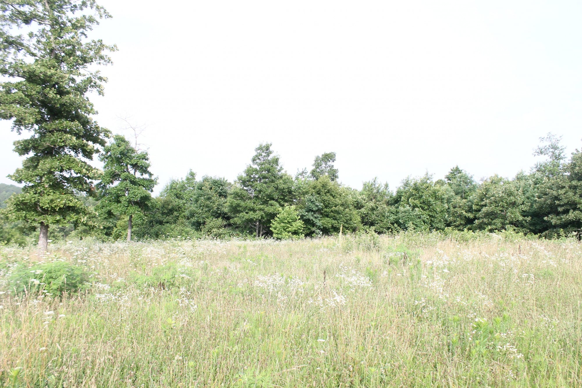 Green Mountain Ranch Tract 2 photo 9