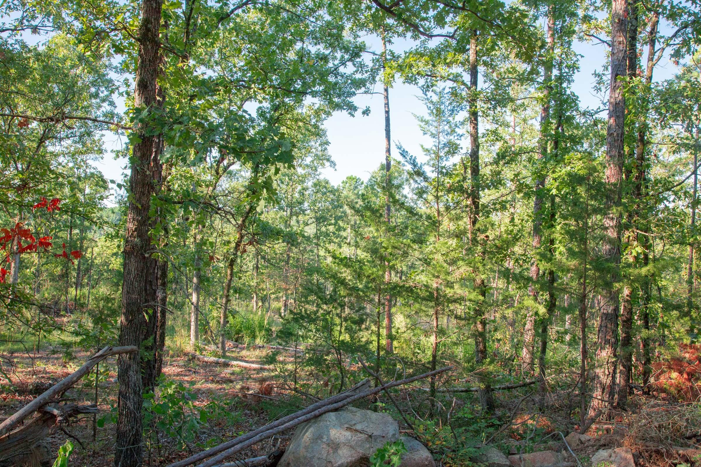 Stone Creek Phase II Tract 276 photo 3