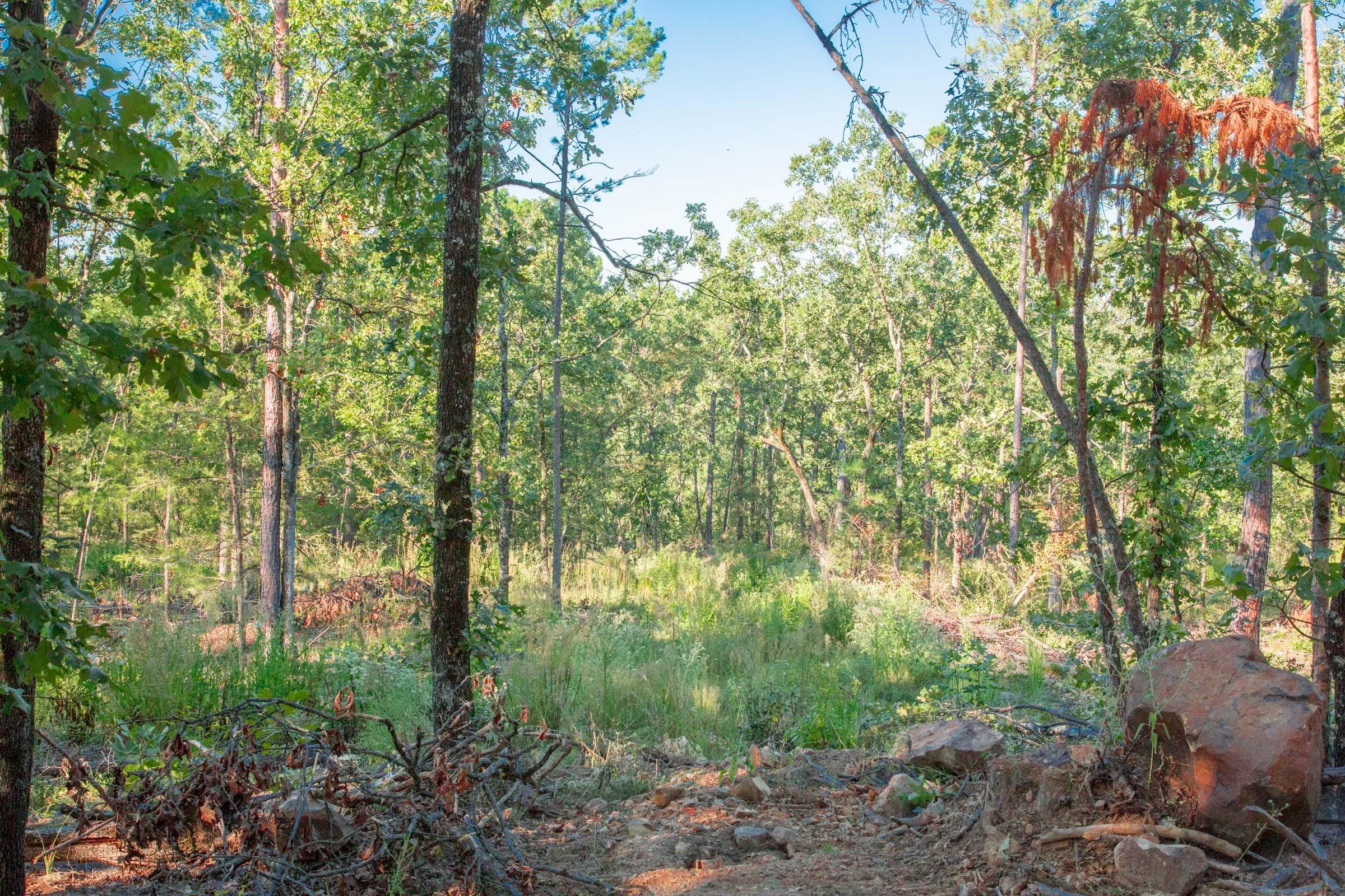 Stone Creek Phase II Tract 276 photo 4