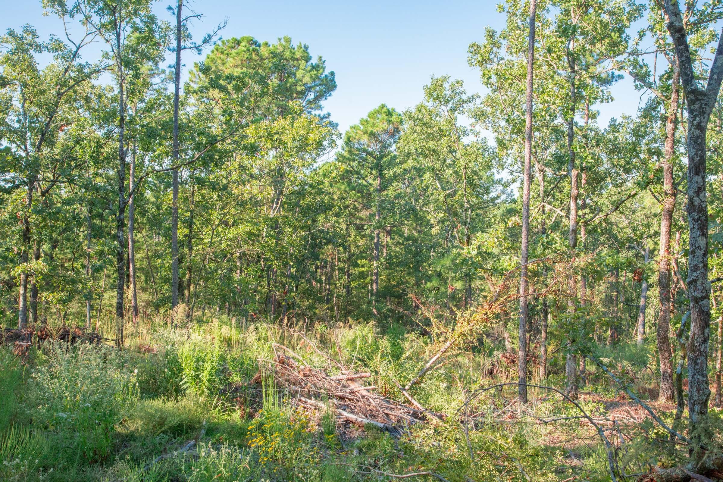 Stone Creek Phase II Tract 276 photo 5