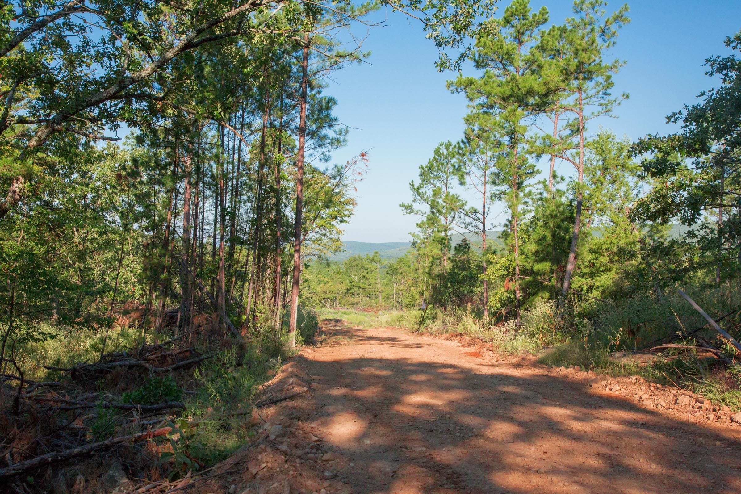 Stone Creek Phase II Tract 276 photo 6