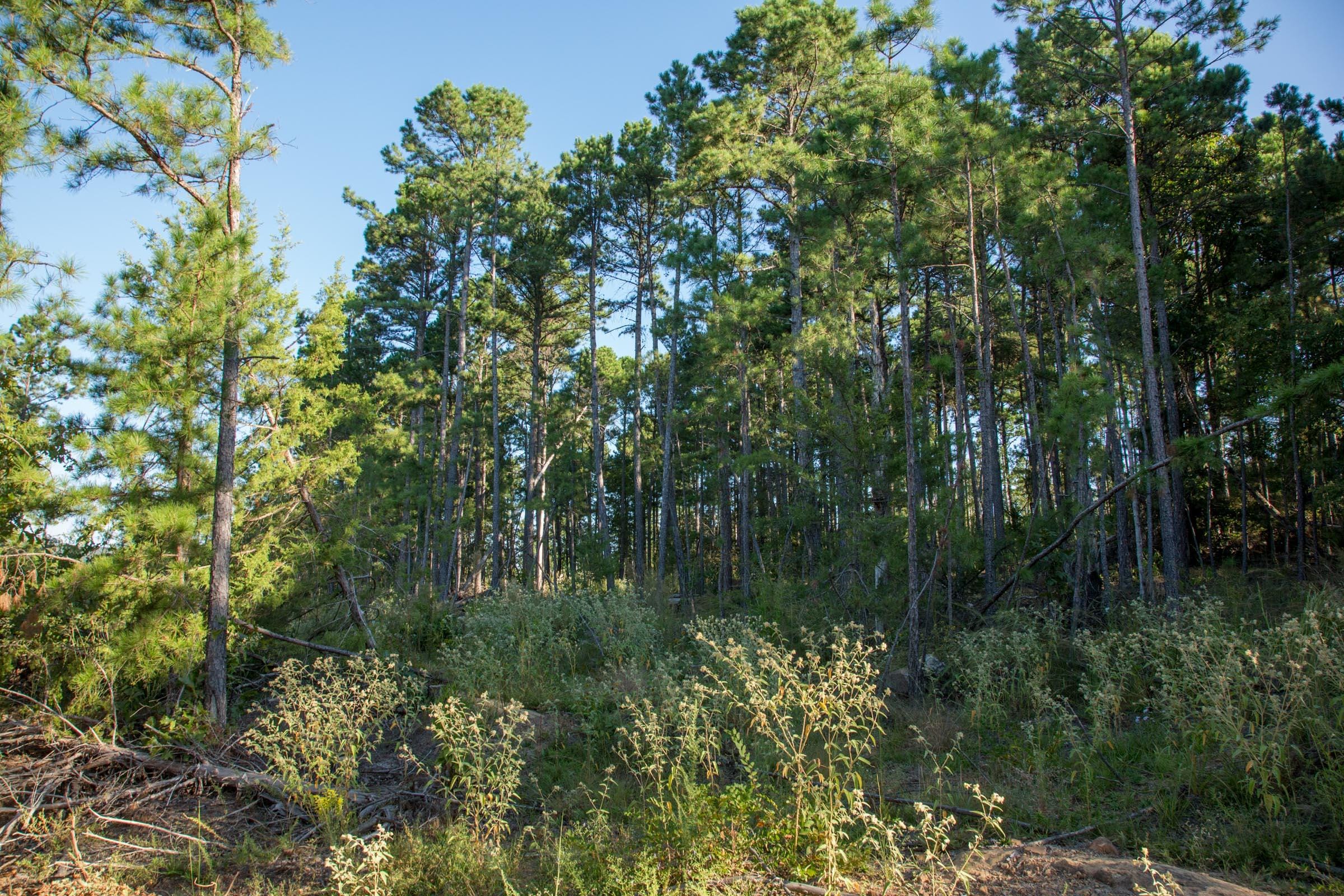 Stone Creek Phase II Tract 276 photo 7