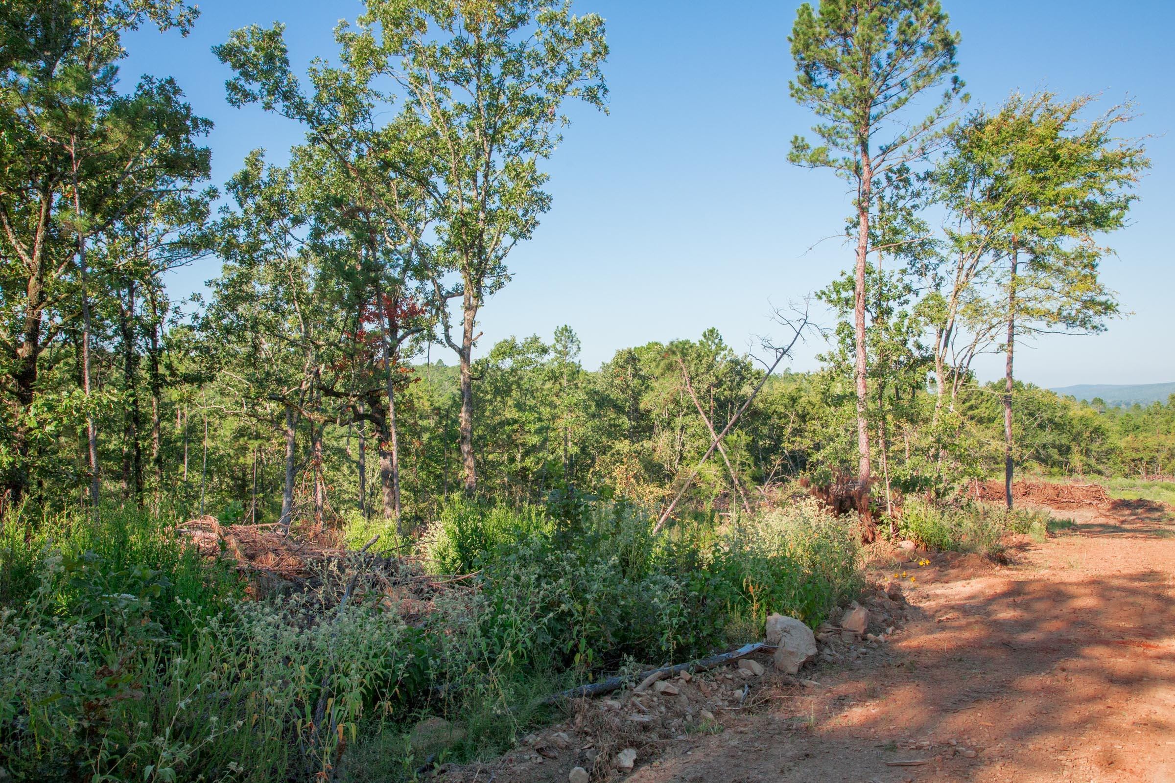 Stone Creek Phase II Tract 276 photo 8