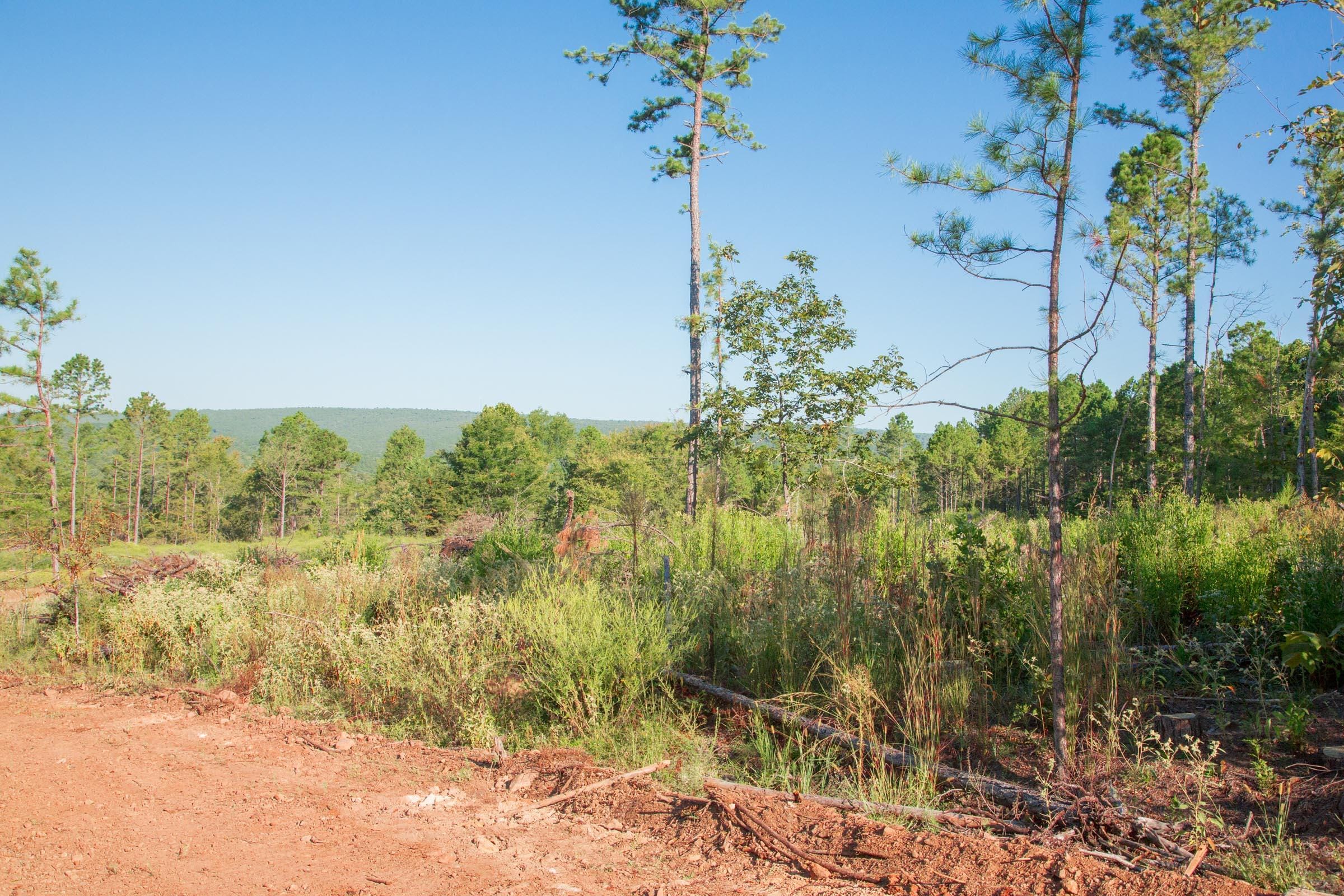 Stone Creek Phase II Tract 276 photo 9