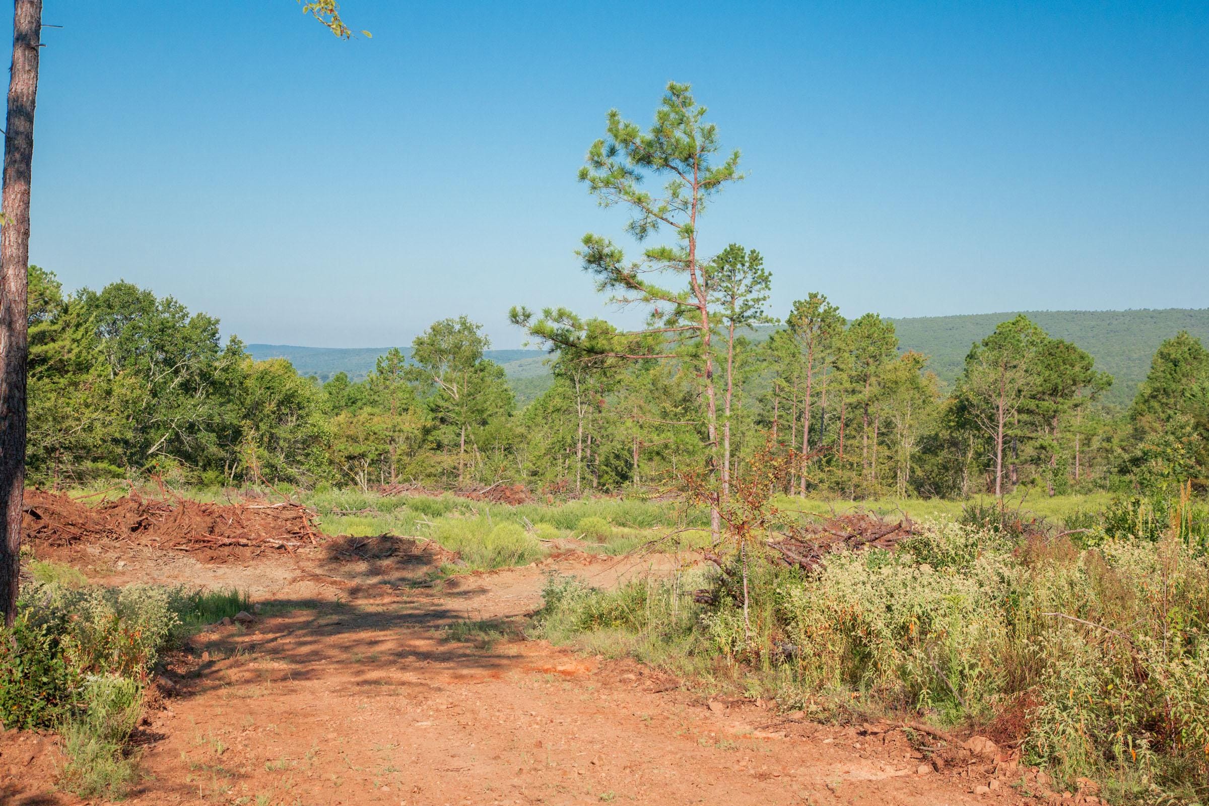 Stone Creek Phase II Tract 276 photo 10