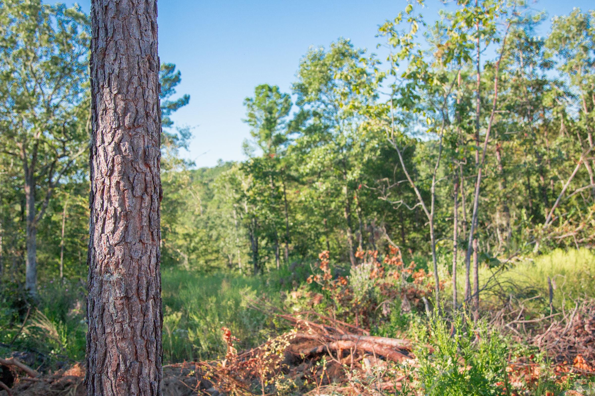 Stone Creek Phase II Tract 276 photo 11