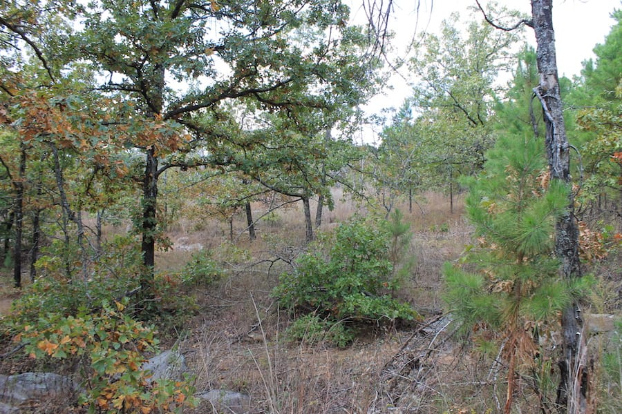 Indian Ridge – Phase III Tract 96 photo 7