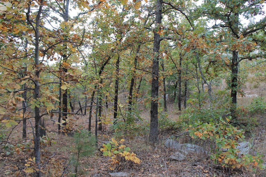 Indian Ridge – Phase III Tract 96 photo 8
