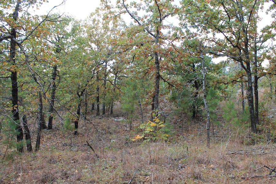 Indian Ridge – Phase III Tract 96 photo 10