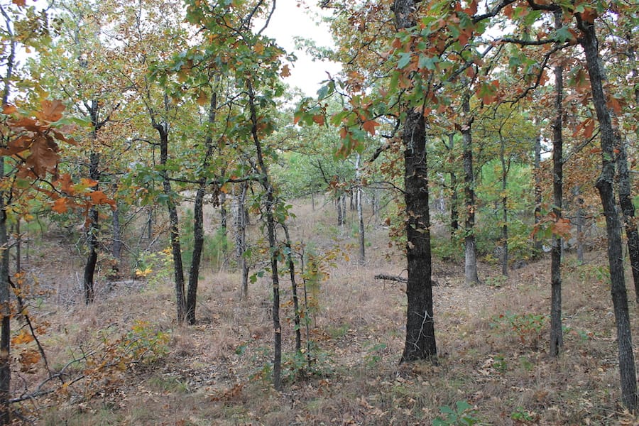Indian Ridge – Phase III Tract 96 photo 12