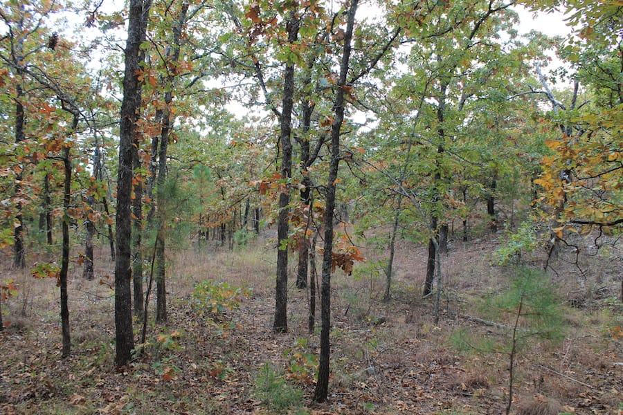 Indian Ridge – Phase III Tract 96 photo 13