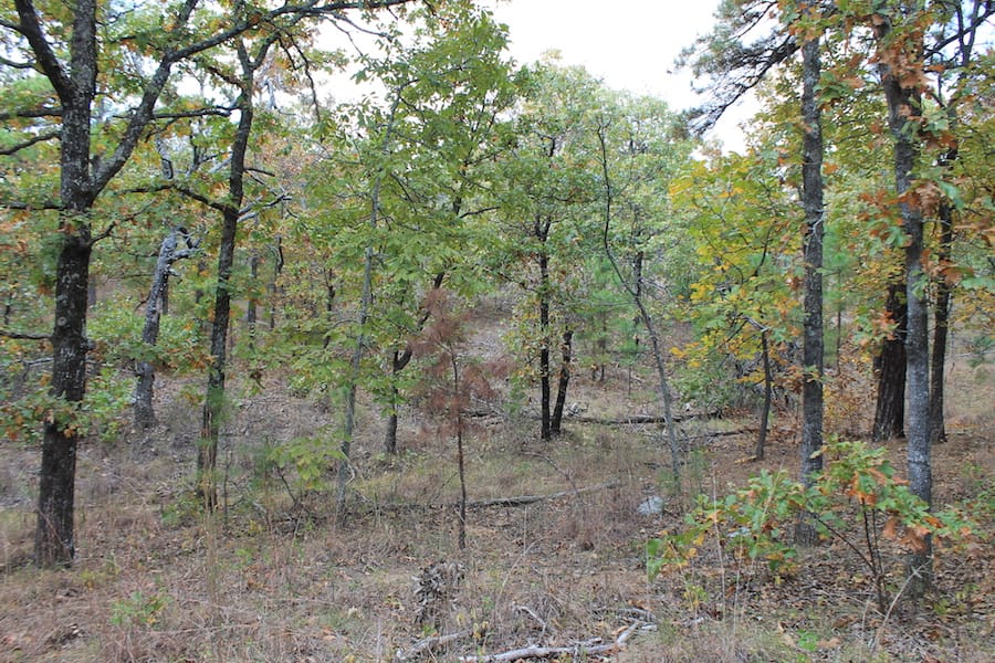 Indian Ridge – Phase III Tract 96 photo 14