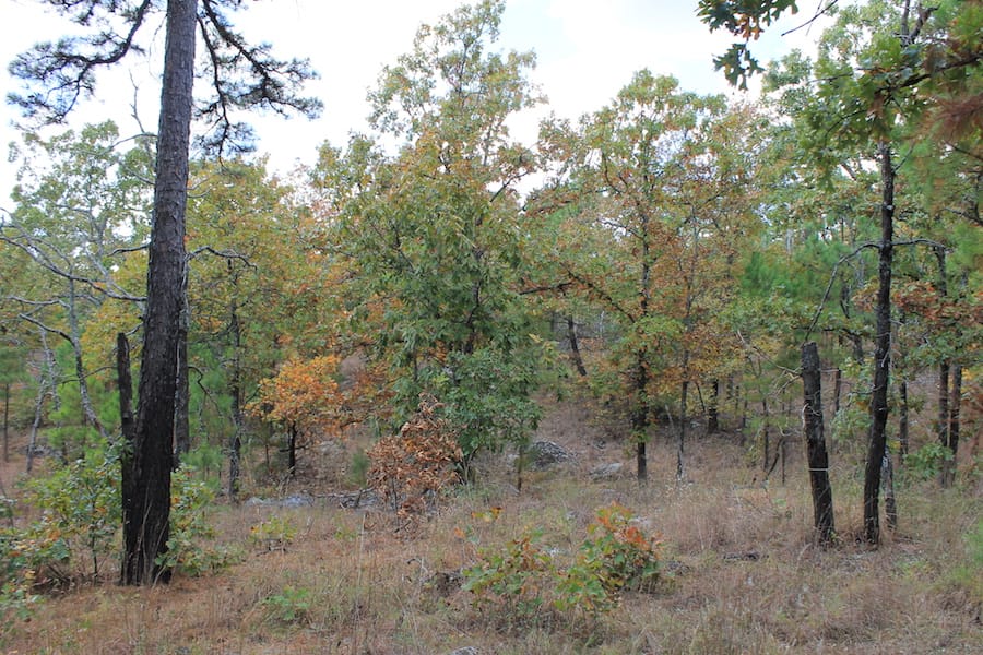 Indian Ridge – Phase III Tract 96 photo 16