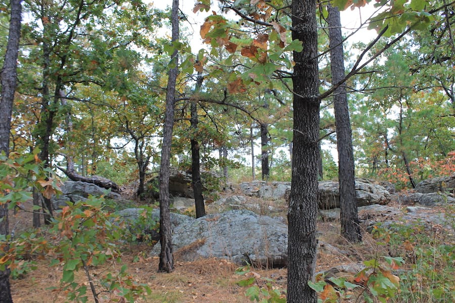 Indian Ridge – Phase III Tract 96 photo 18