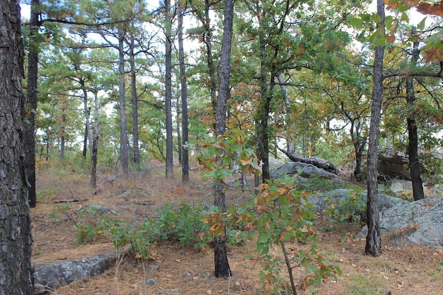 Indian Ridge – Phase III Tract 96 photo 19