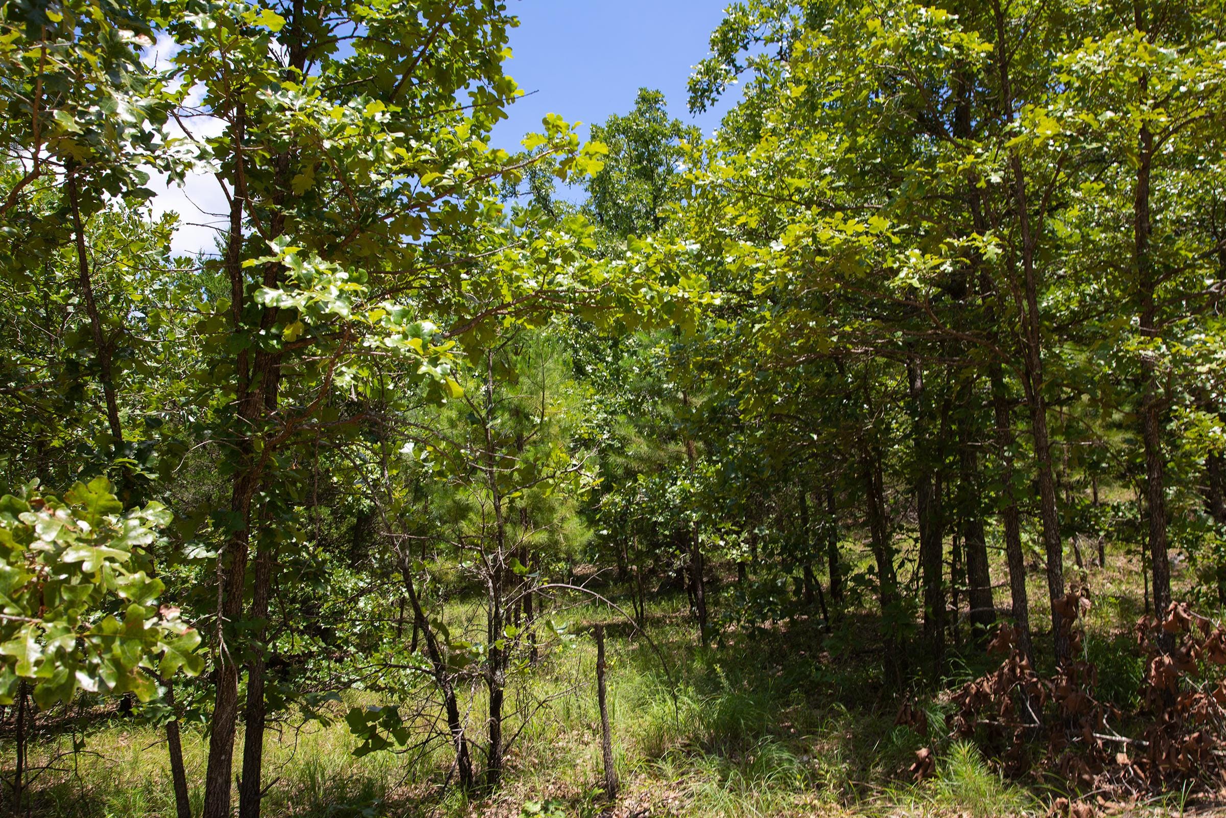 Tyler Stone Ranch Tract 72 photo 4