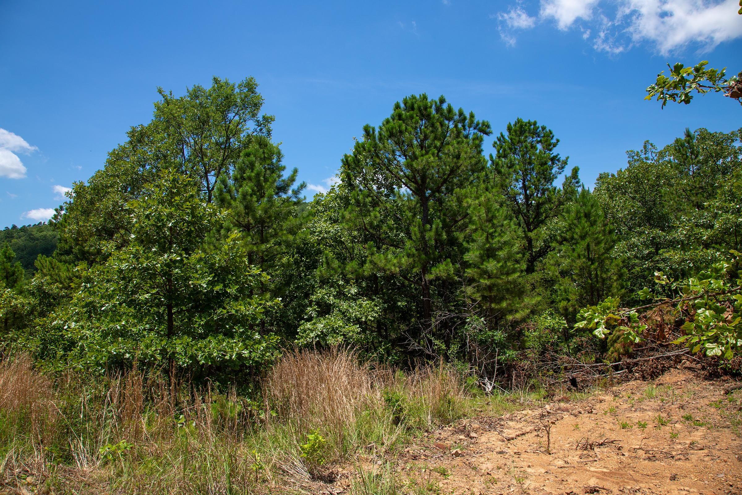Tyler Stone Ranch Tract 72 photo 5