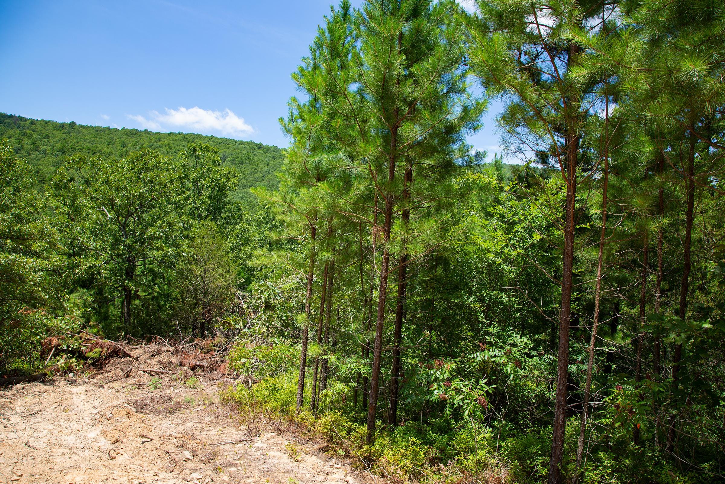 Tyler Stone Ranch Tract 72 photo 6