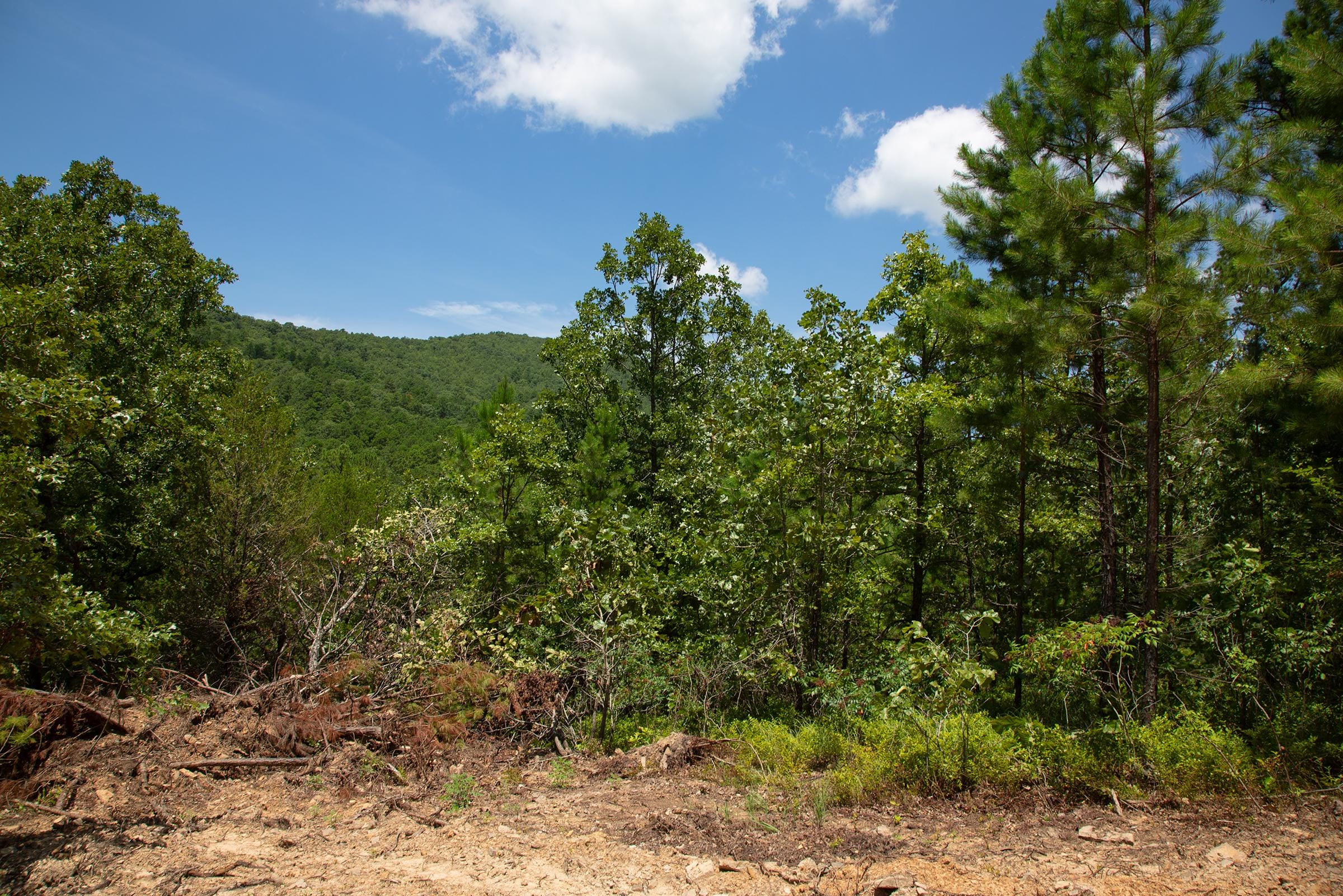 Tyler Stone Ranch Tract 72 photo 7